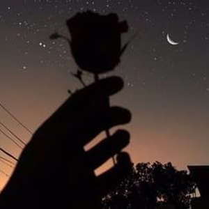 黄色三级片电视
